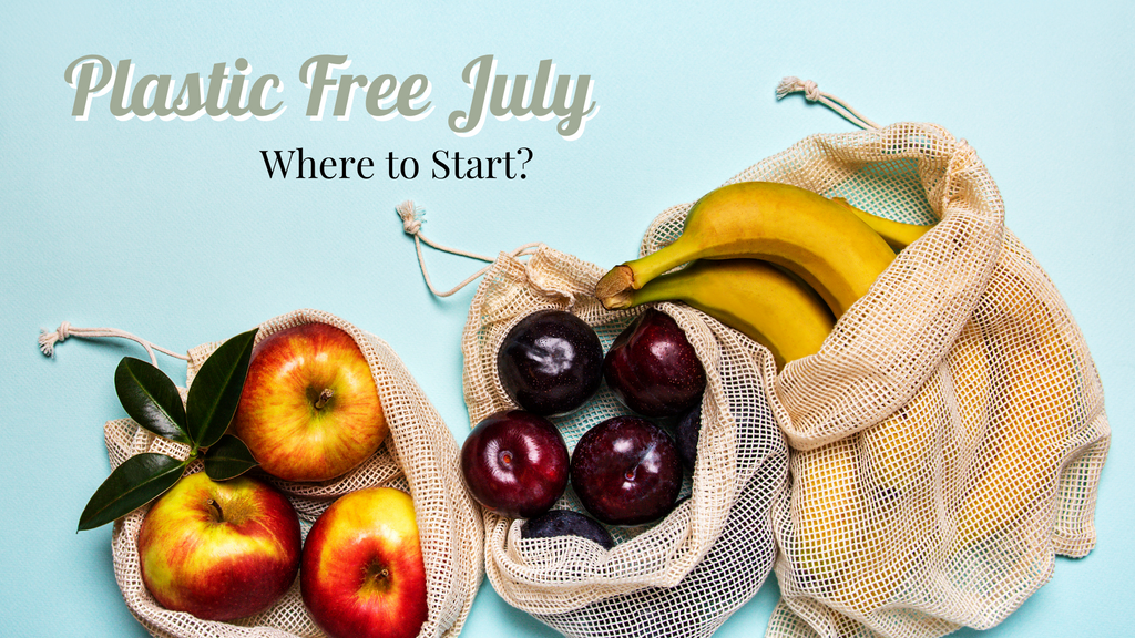 Plastic Free July- Where to Start?