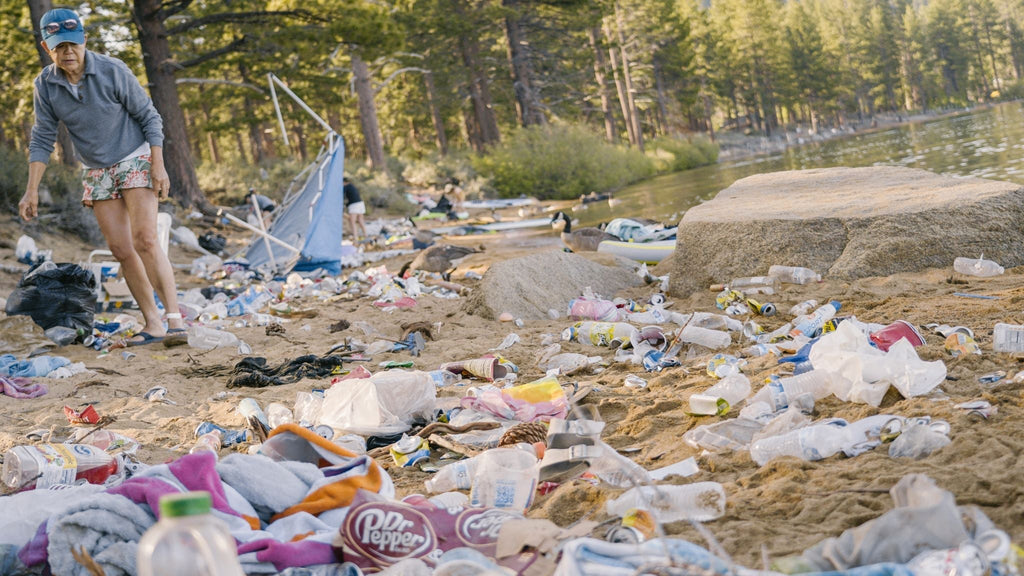 Clean Beaches, Less Plastic: A July Wake-Up Call