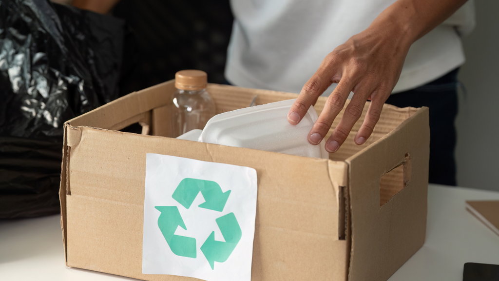 Living with Non-Eco People: Progress, Not Perfection