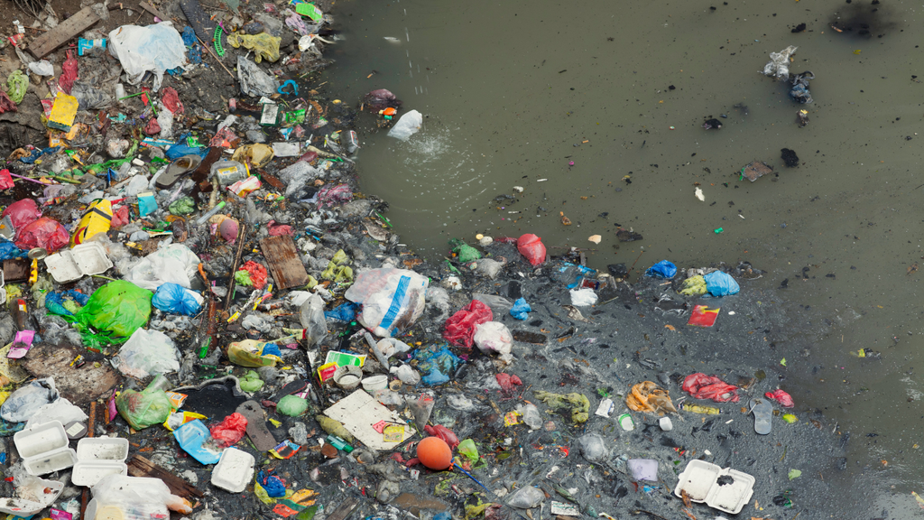 If Single-Use Was the Only Option: Best to Worst Choices
