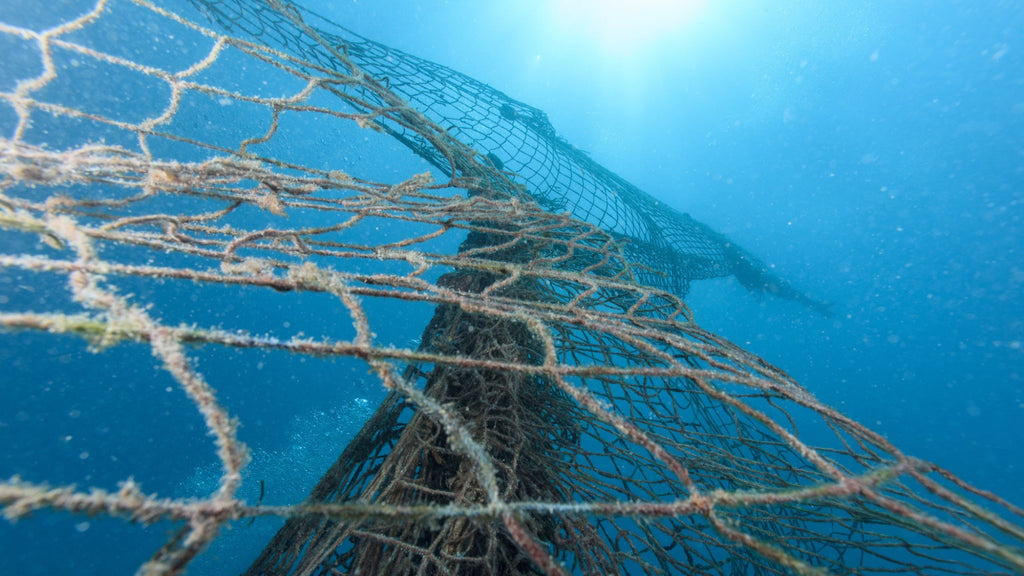 Ghost Nets, Bycatch, and the Looming Crisis of Commercial Fishing's Toll on our Oceans