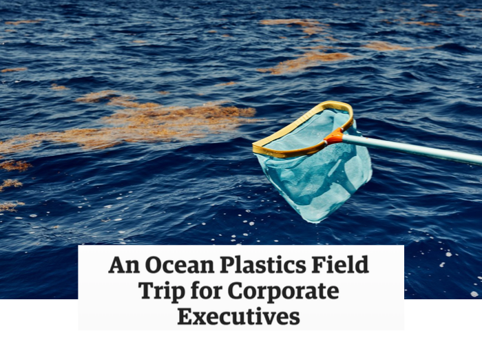 Corporate Execs go on a Field Trip to the Great Pacific Garbage Patch