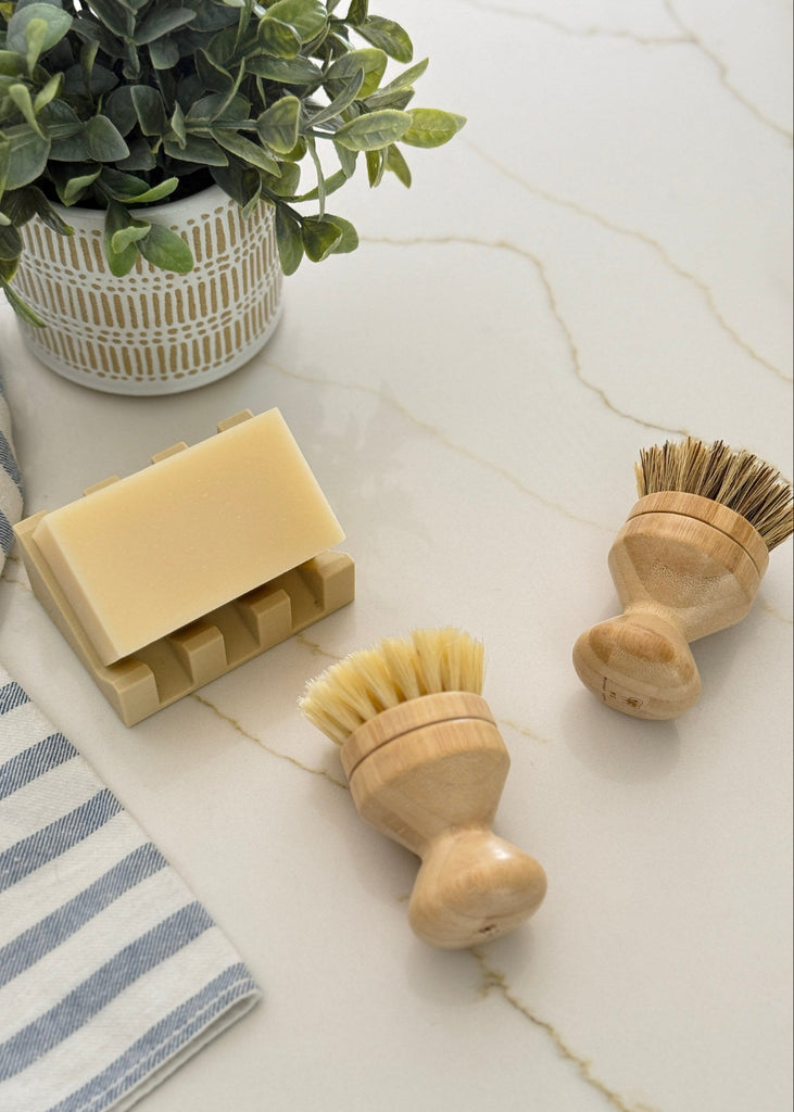 Two wooden scrub brushes, a bar of soap, and a potted plant on a light surface.
