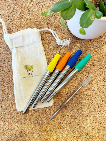 Collapsible Straw 4-Pack | Reusable Straws | Stainless Steel Straws