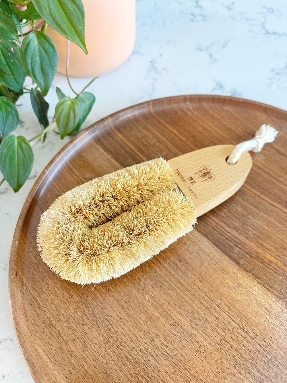 Modular Palm Pot Scrub Brush