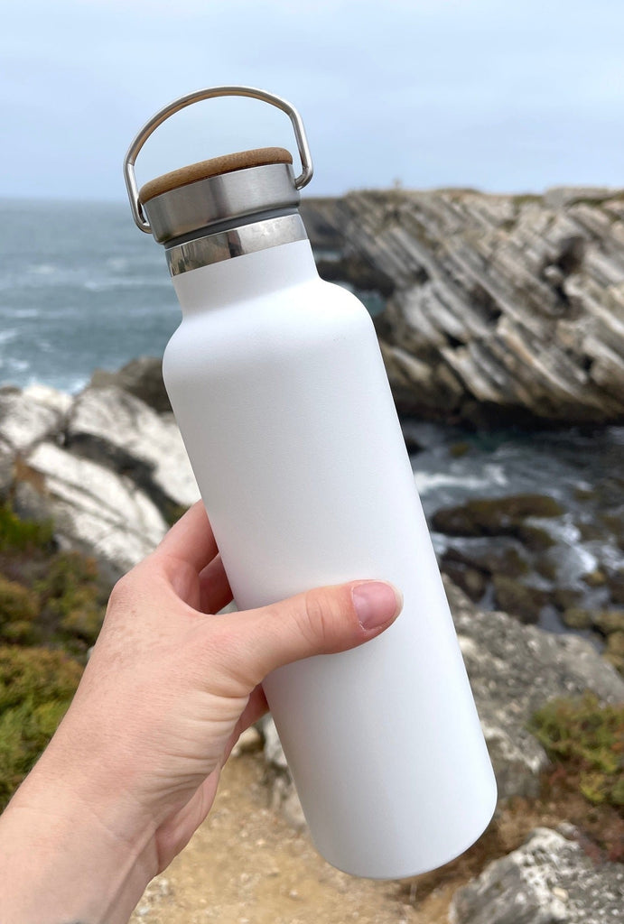 Stainless steel water bottle rei hydroflask double walled me mother earth zero waste plastic free