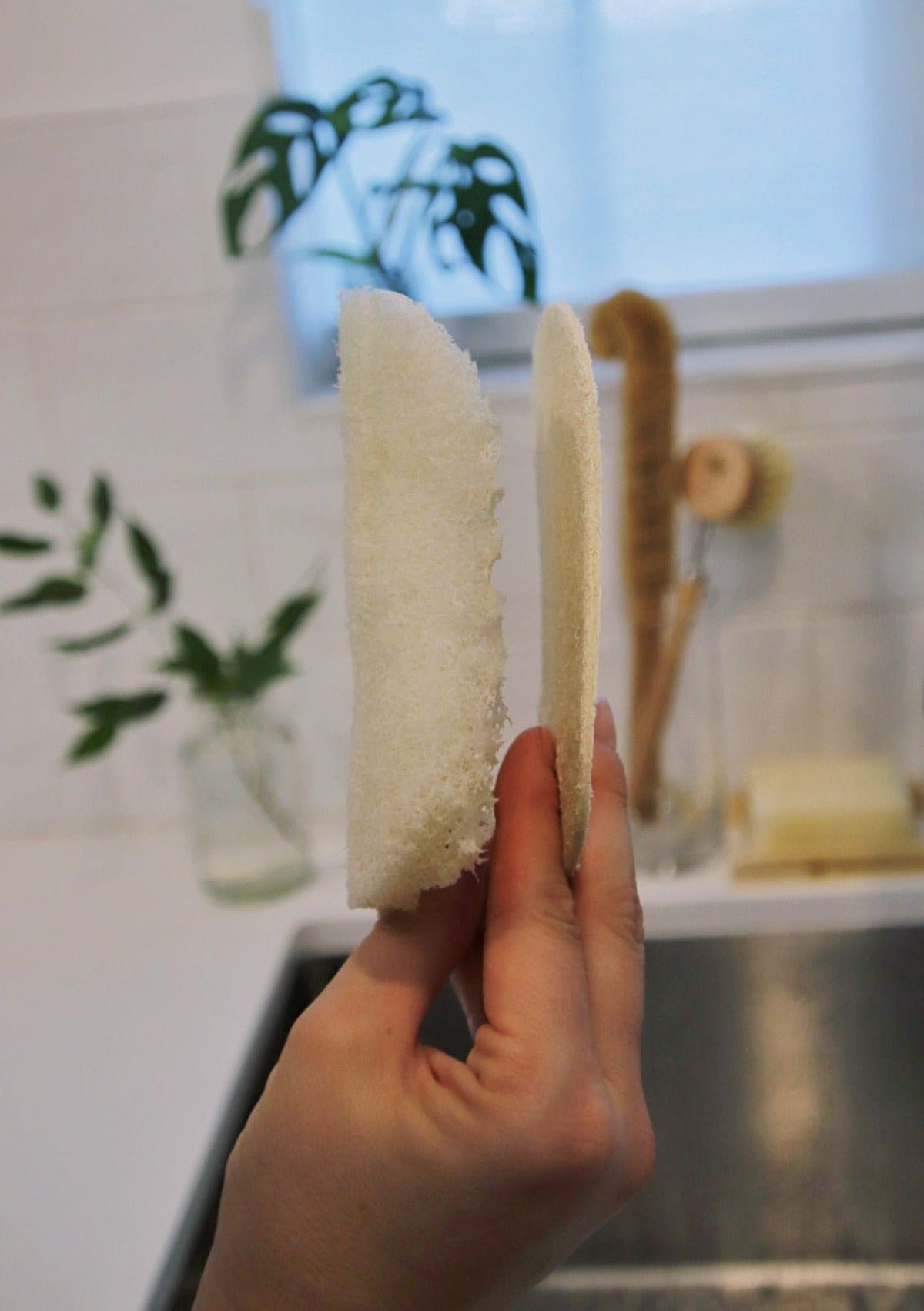 Eco Dish Sponges: Single Layer 3-Pack – Me Mother Earth